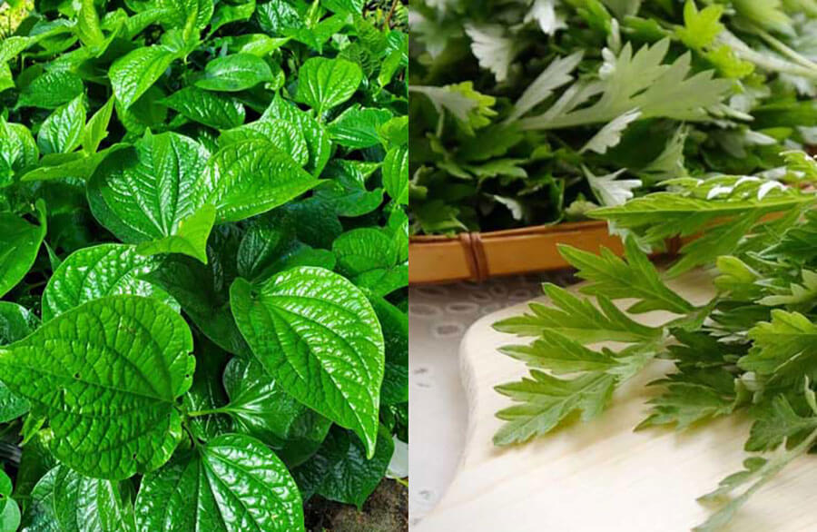4 Cách Chữa Đau Lưng Bằng Thuốc Nam Có Sẵn Trong Vườn Nhà, Đánh Bay Tê Bì, Nhức Mỏi 8 Chữa đau lưng bằng thuốc nam vườn nhà - Lá lốt + ngải cứu