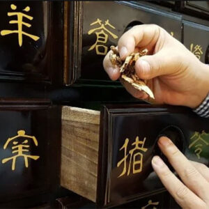 Nhờ Chữa Rối Loạn Tiền Đình Bằng Đông Y Mà Chứng Chóng Mặt Thuyên Giảm Chỉ Sau 1 Tuần